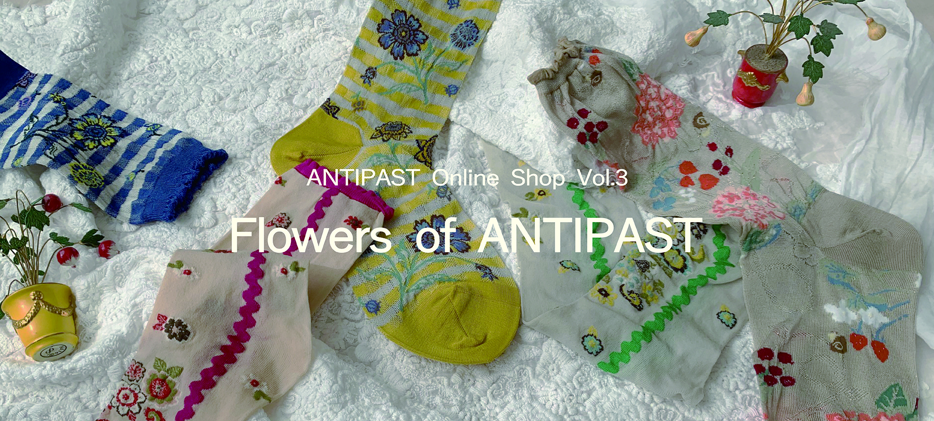 Flowers of ANTIPAST