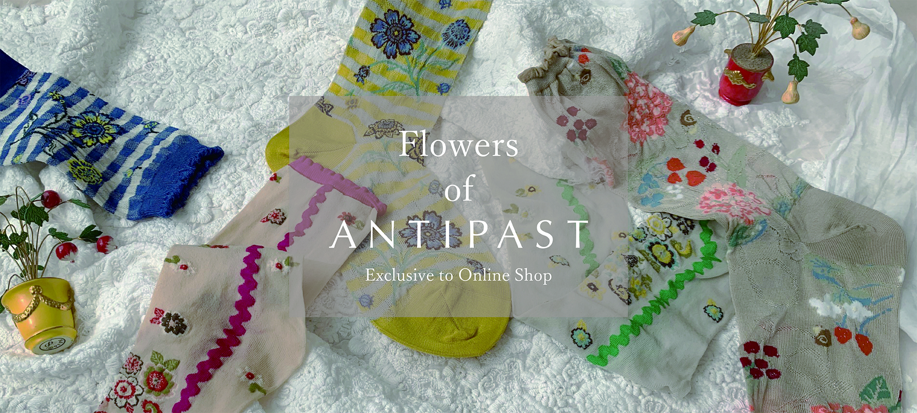 Flowers of ANTIPAST